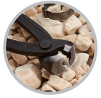 3/4 Inch (in) Width Side Jaw Pincer